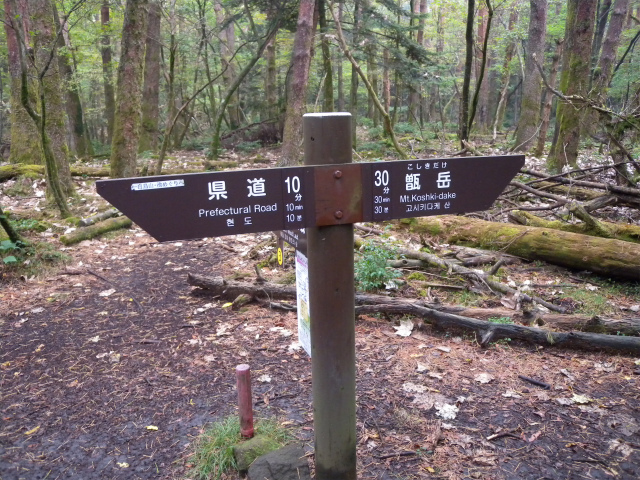 e0272335_1651880.jpg