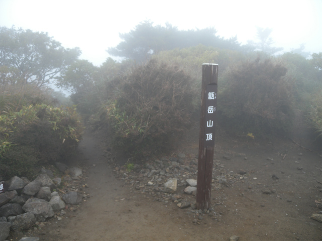 e0272335_1682538.jpg