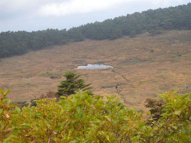 e0272335_1713077.jpg