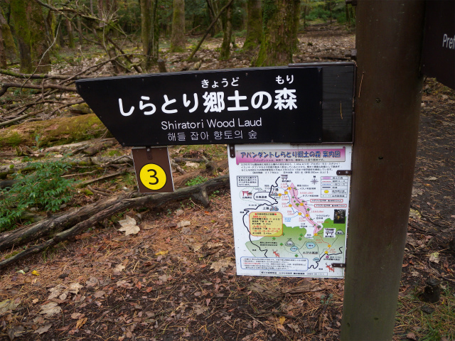 e0272335_1718378.jpg
