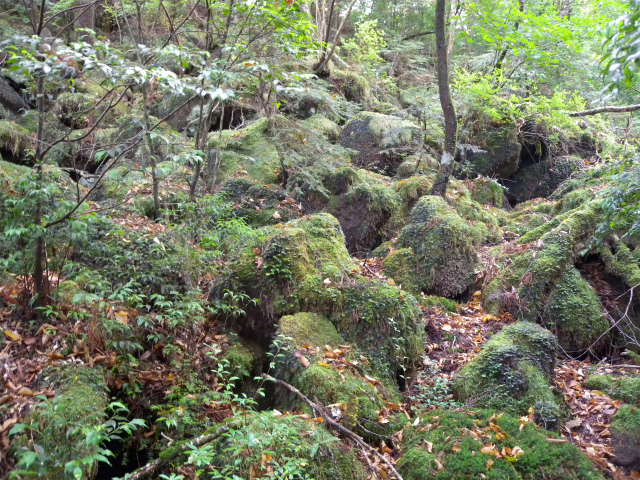 e0272335_17205990.jpg
