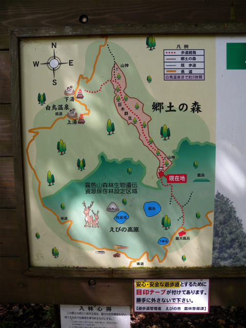 e0272335_17301115.jpg