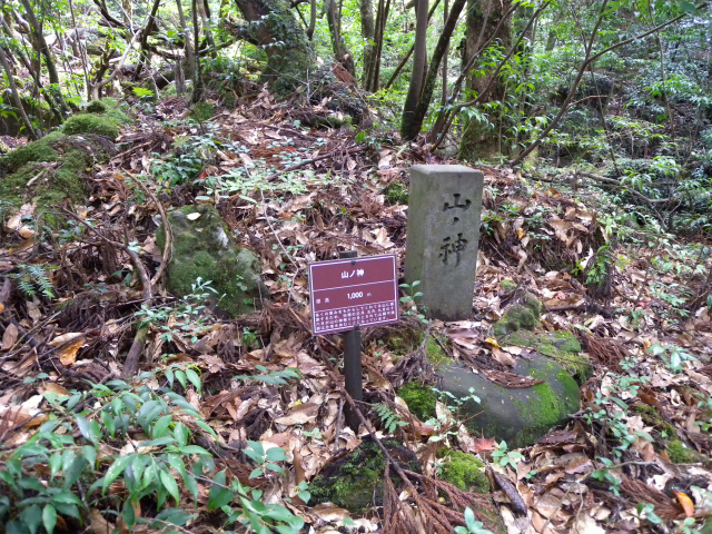 e0272335_17354071.jpg