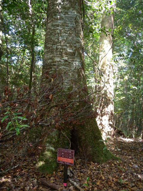 e0272335_1747466.jpg