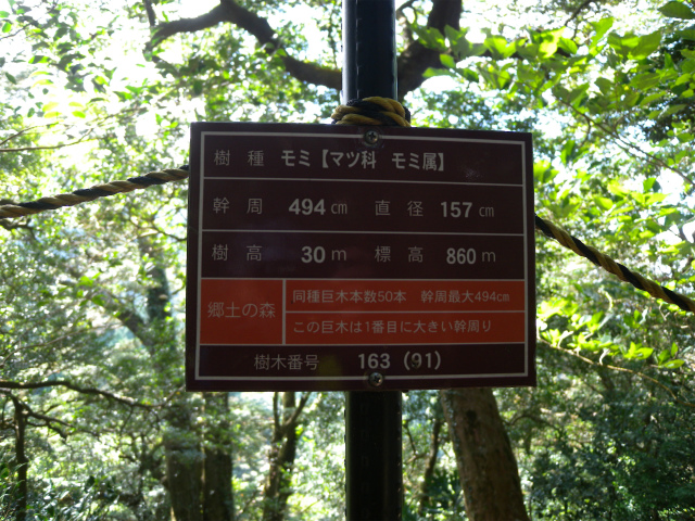 e0272335_1757153.jpg