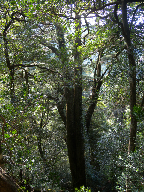 e0272335_1813991.jpg