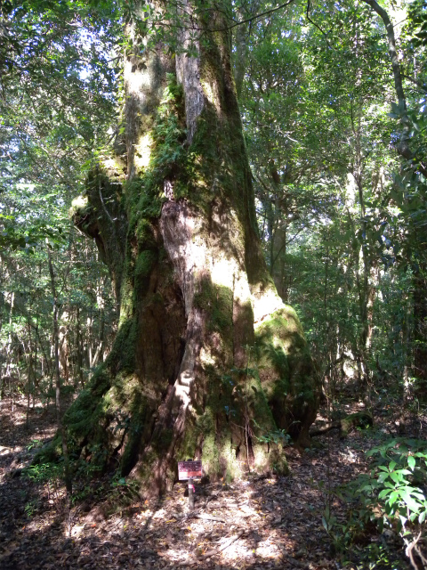 e0272335_186106.jpg