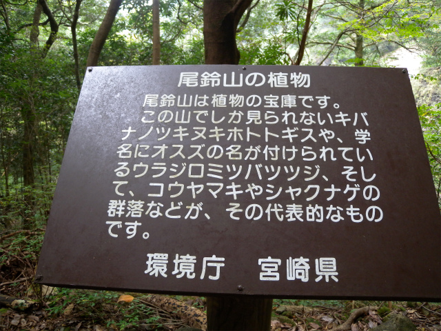 e0272335_9201882.jpg