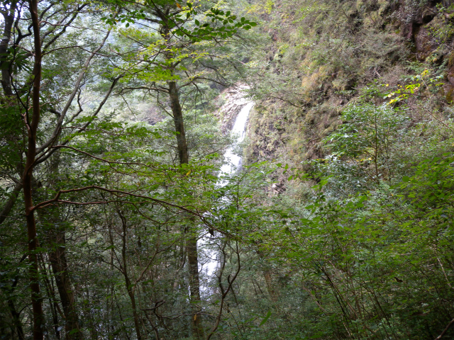 e0272335_923332.jpg