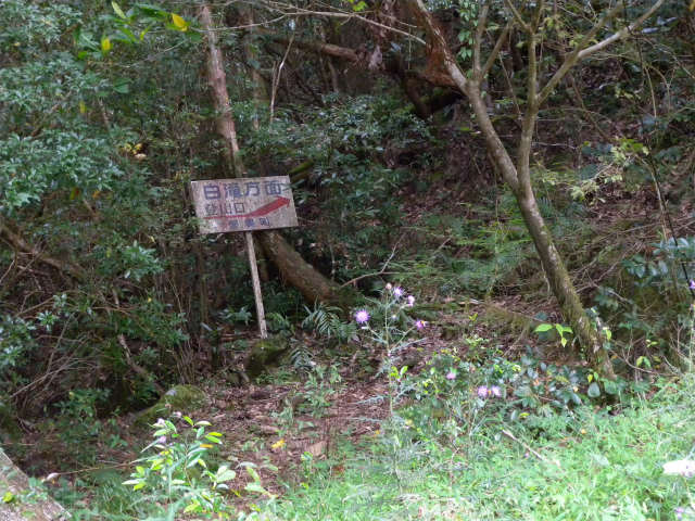 e0272335_92868.jpg