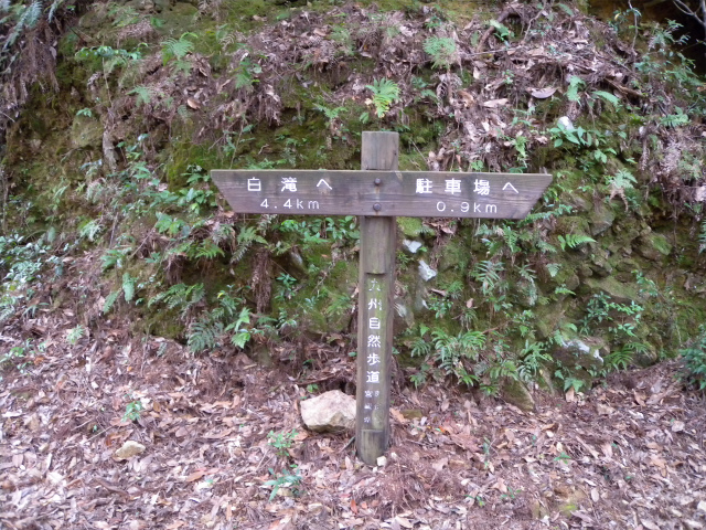 e0272335_945857.jpg