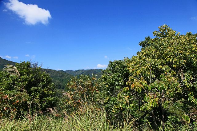 a0242438_19323657.jpg