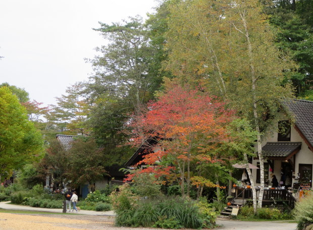 b0178339_15560927.jpg