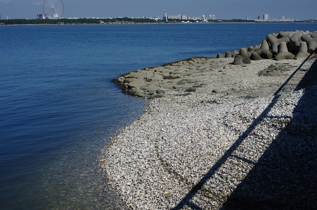 c0080357_20432933.jpg