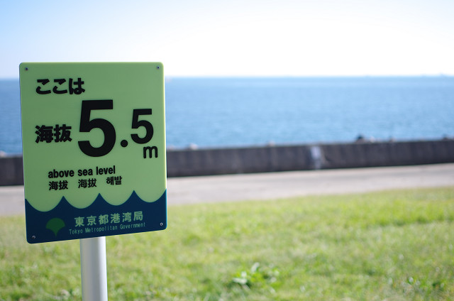 c0080357_2044106.jpg