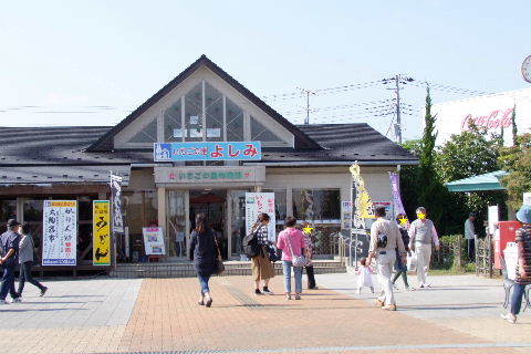 e0088260_11323857.jpg