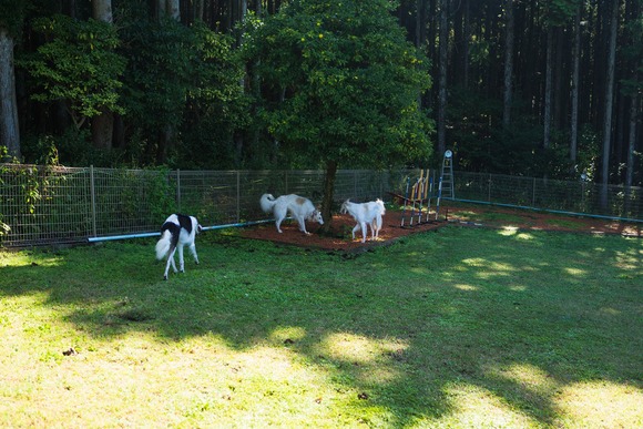 c0260264_21422697.jpg