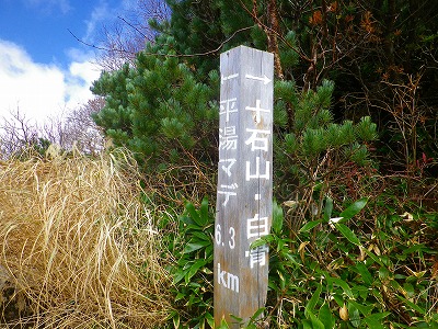 f0182173_1949237.jpg