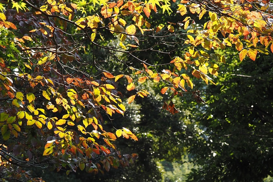 f0188274_21261409.jpg
