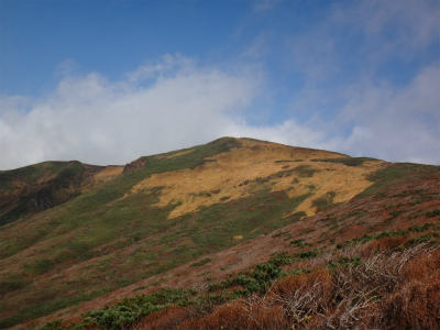 d0182075_4574939.jpg