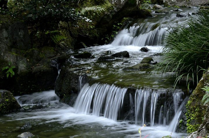 f0108478_14395579.jpg