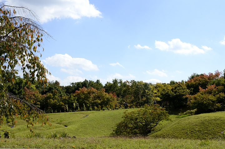 f0108478_1447152.jpg