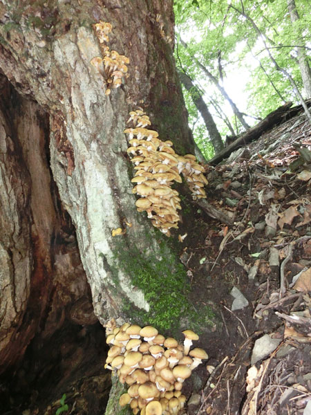 c0049095_21261379.jpg
