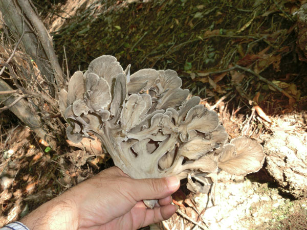 c0049095_21273897.jpg