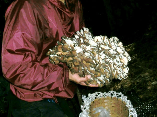 c0049095_21281375.jpg