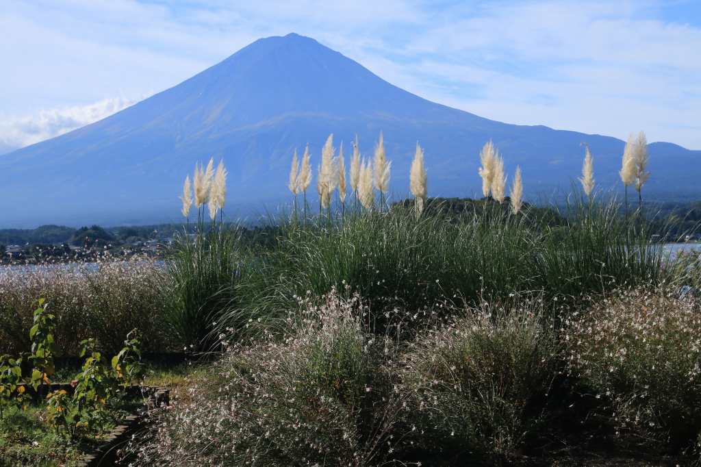a0188405_17123647.jpg