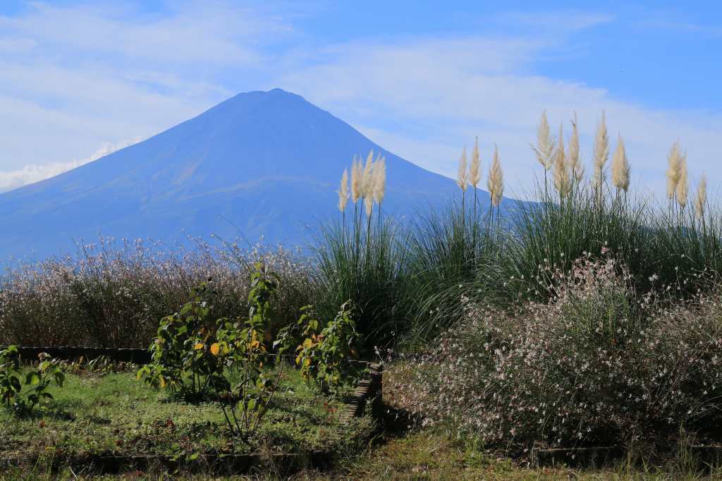 a0188405_17124254.jpg