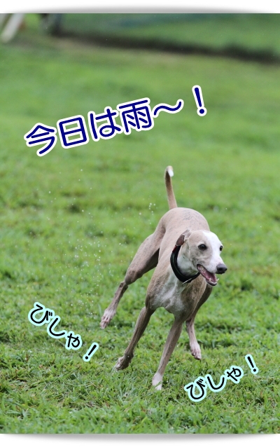 e0100007_756826.jpg
