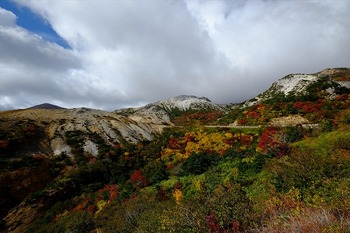 d0027711_1482640.jpg