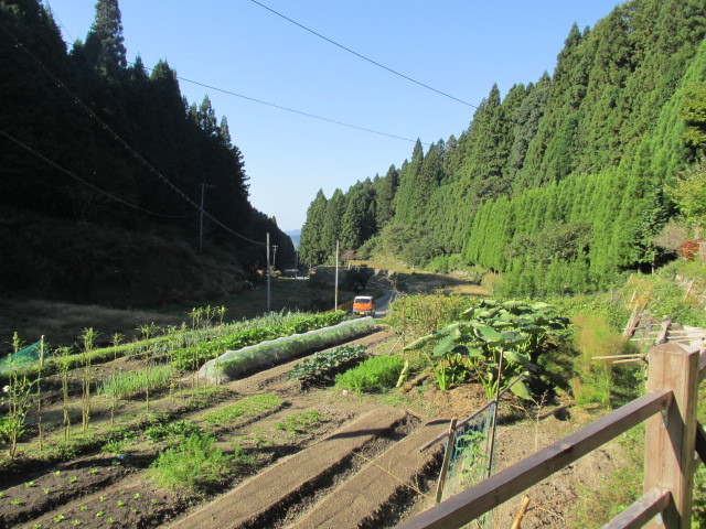 f0341616_13452060.jpg