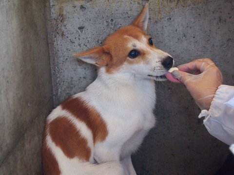 f0078320_1034150.jpg