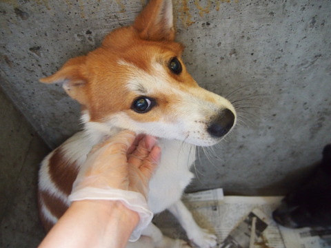 f0078320_10353461.jpg
