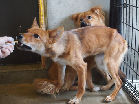 f0078320_1042182.jpg