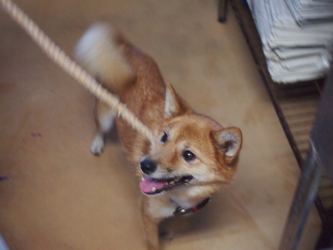 f0078320_1424427.jpg