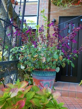 c0204121_1723919.jpg
