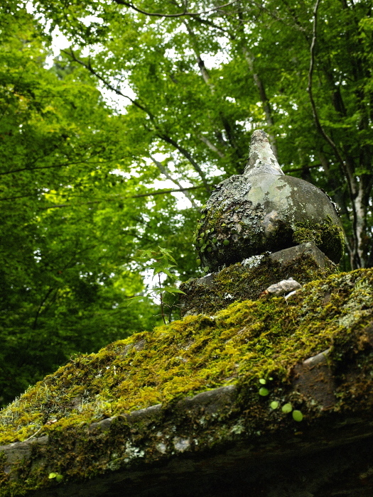 f0315034_13455512.jpg