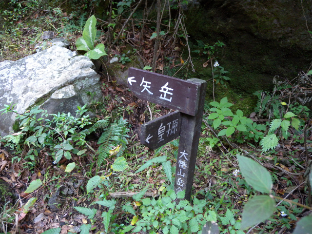 e0272335_7584279.jpg