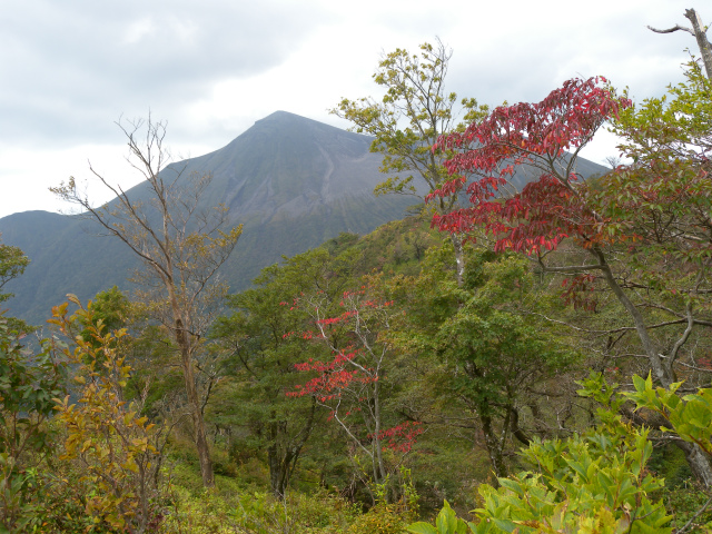 e0272335_8382530.jpg