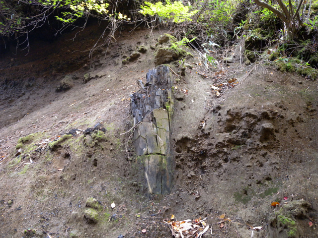 e0272335_904837.jpg