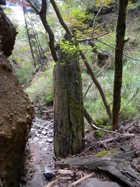 e0272335_922224.jpg