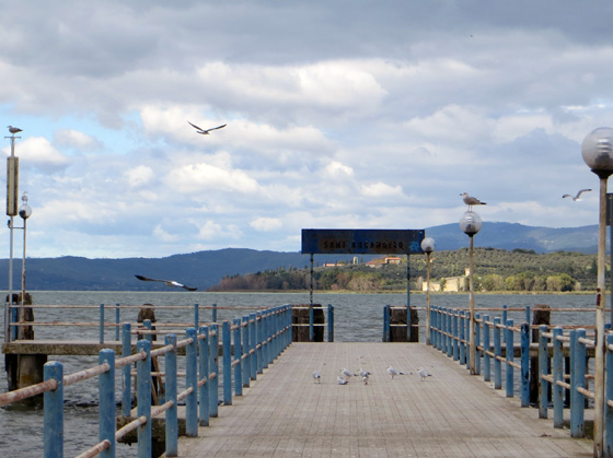 f0234936_5544029.jpg