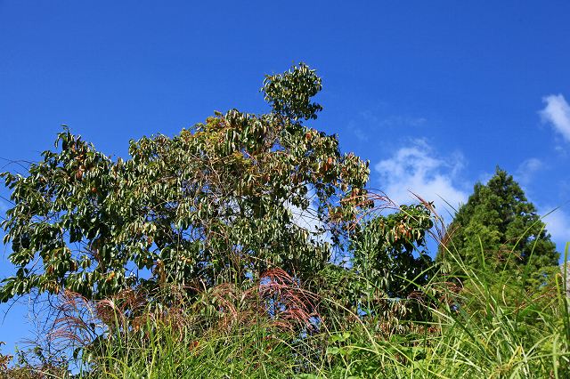 a0242438_19431279.jpg