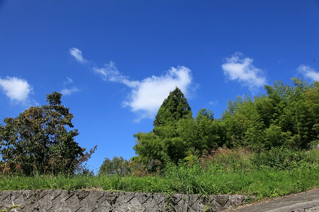 a0242438_19431774.jpg