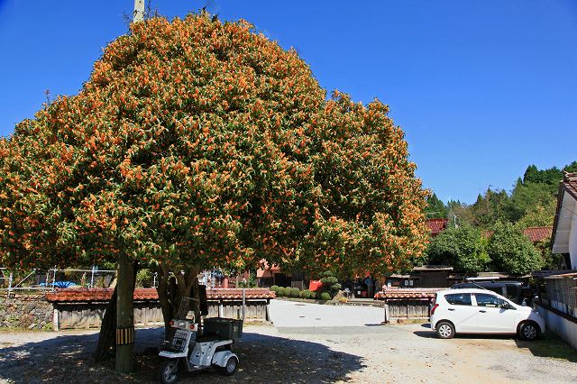 a0242438_19501622.jpg