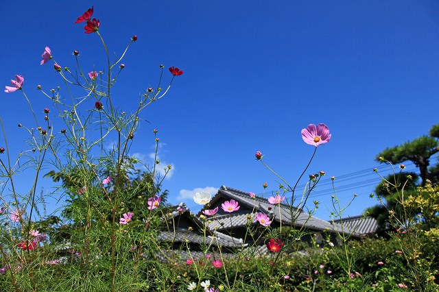 a0242438_19511623.jpg