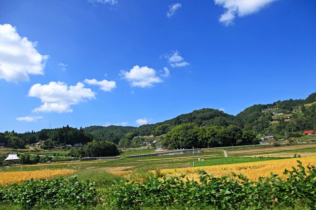 a0242438_1951457.jpg